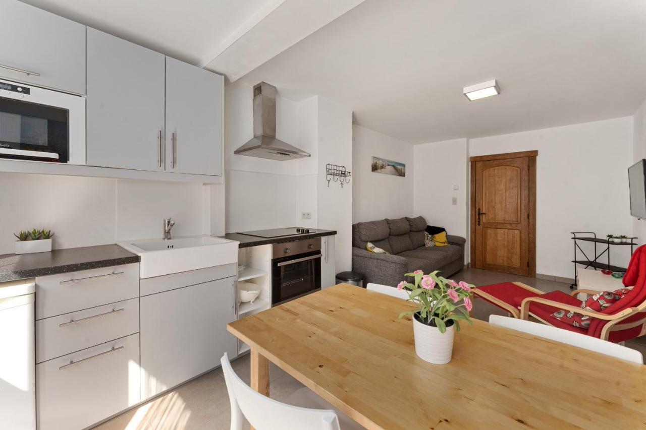 Ruime Woning 10P Met Zonnige Tuin & Nabij Strand Blankenberge Zewnętrze zdjęcie